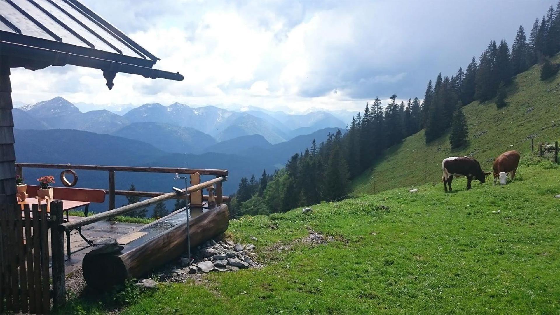 Haus Lesch - Stilvolle Appartements Mit Tollem Bergblick In Kreuth Am Tegernsee Luaran gambar